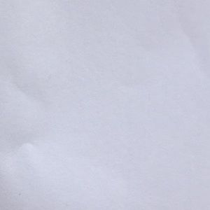 Meet your Posher, Shaylynn